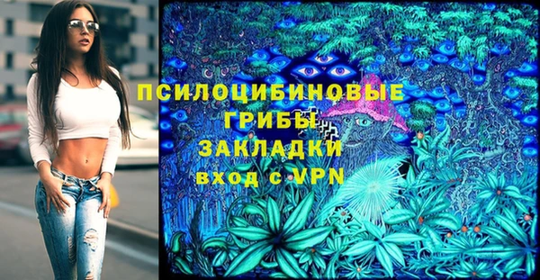 spice Богородицк