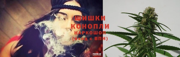 амф Богородск