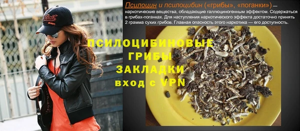 spice Богородицк