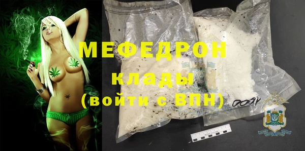 spice Богородицк