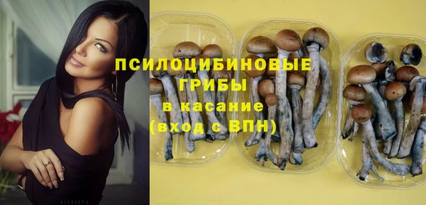 a pvp Белоозёрский