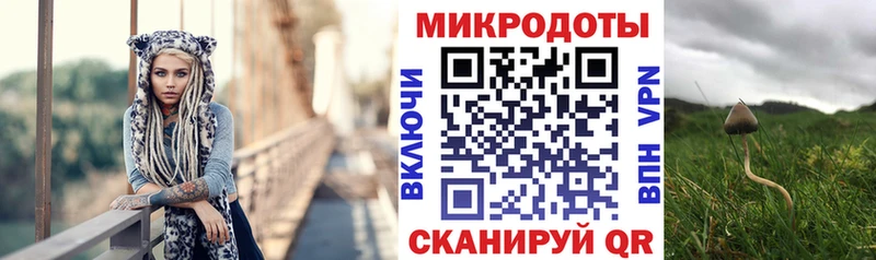 Галлюциногенные грибы Cubensis  Белёв 